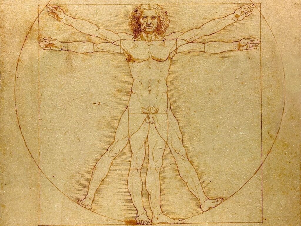 leonardo davinci