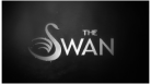 swan logo